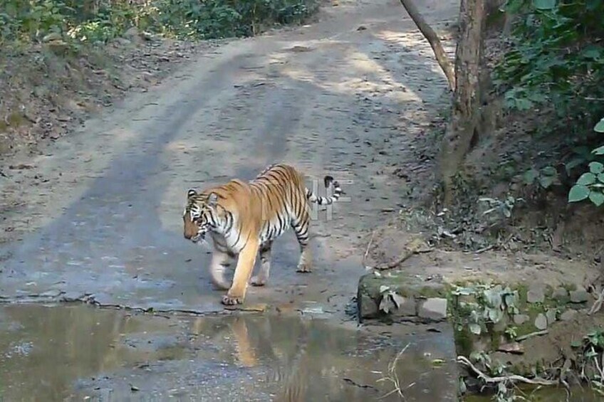 Rajaji National Park