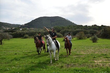 Horseback Riding in Randa Valleys, Mallorca, Spain