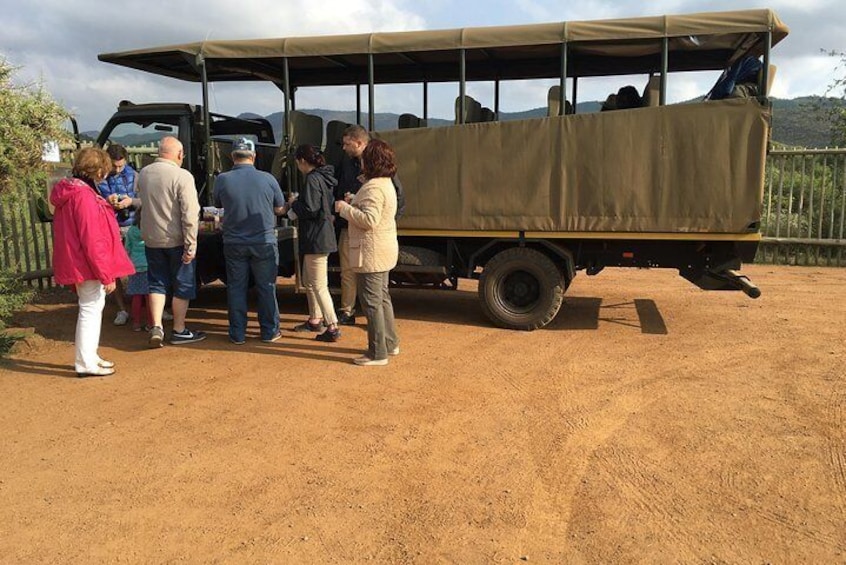 Breakfast in the Pilanesberg National Park