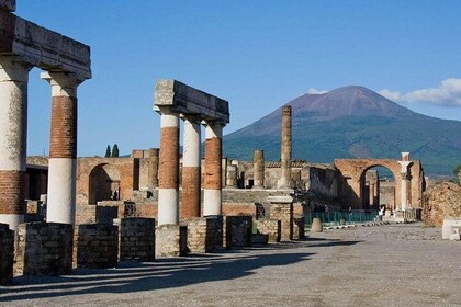 Pompeii Ruins & Wine Tasting with Lunch on Vesuvius with Private Transfer