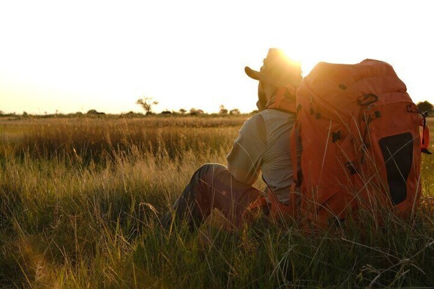 1 Day Okavango Delta Mokoro/Canoe Daytrip