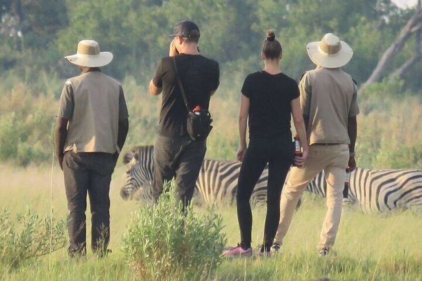 1 Day Okavango Delta Mokoro/Canoe Daytrip