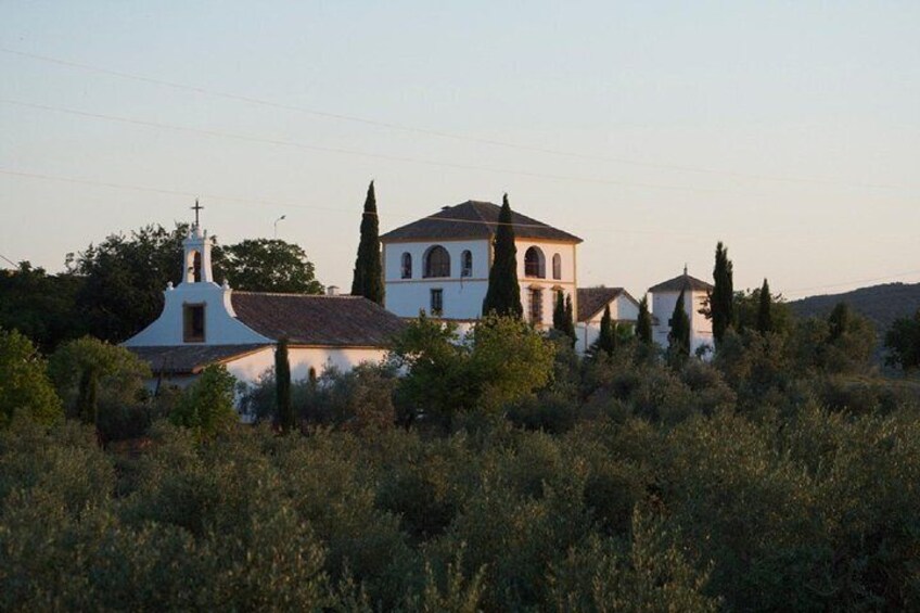 Cordoba Olive Oil mill, Wine, Passion