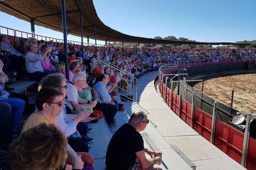 Visit Alvaro Domecq Horses and Brave Bulls in Freedom