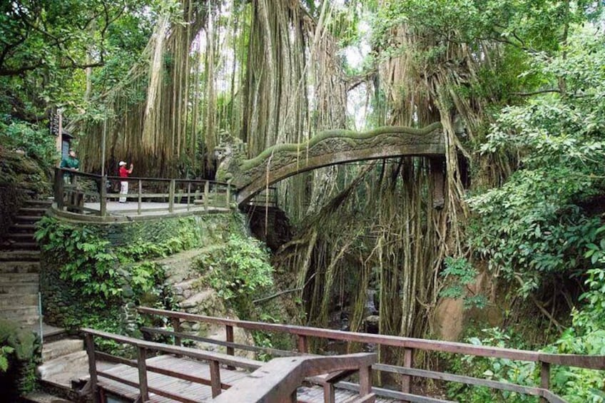 Ubud Monkey Forest