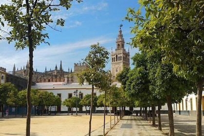 Sevilla hoogtepunten privéwandeltocht