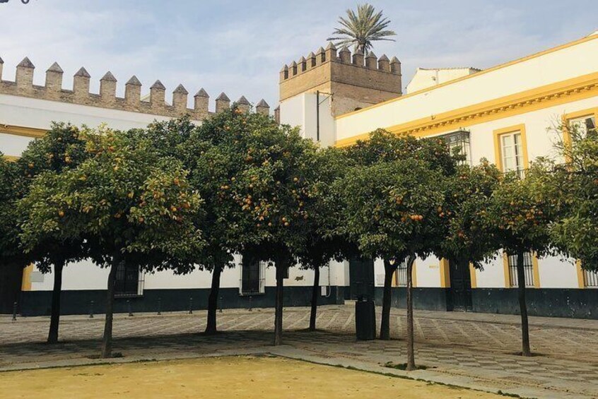 Essential Private Walking Tour of Seville