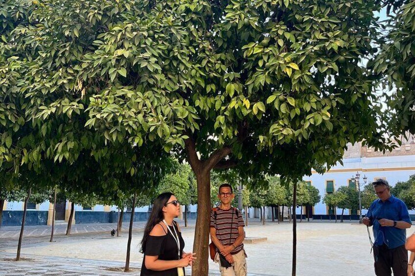 Essential Private Walking Tour of Seville