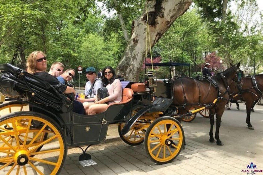 Seville Guided Horse Carriage Priavte Tour