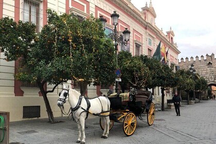 Visita guiada en coche de caballos por Sevilla