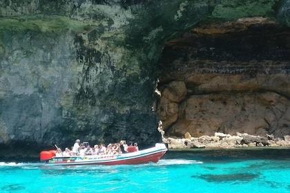 Okikoki Banis - Gozo Speedboat tour including Bus Tour In Gozo