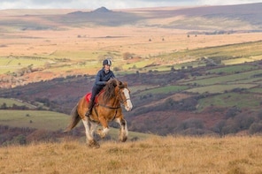 Dartmoor Horse Photography Workshop