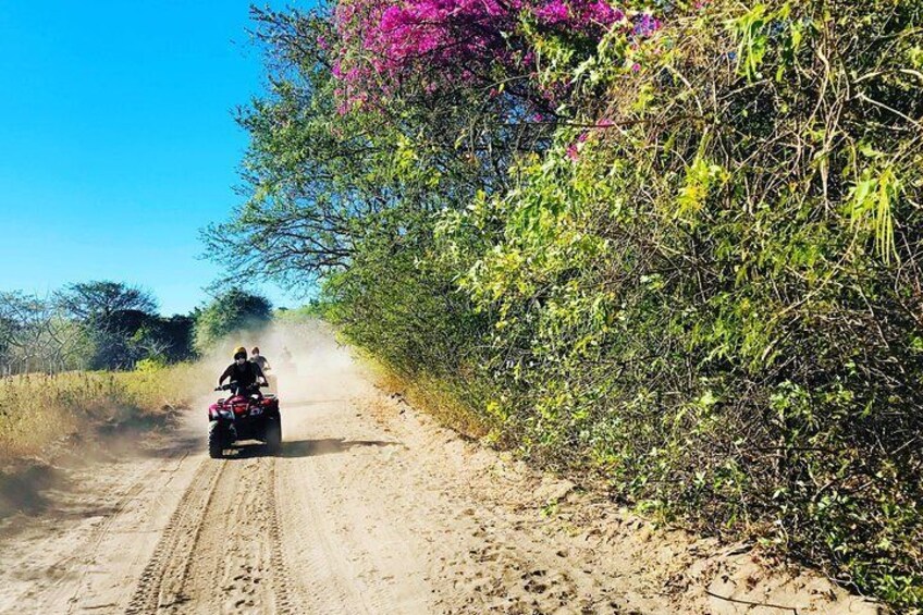 Zip Line and ATV Adventure 