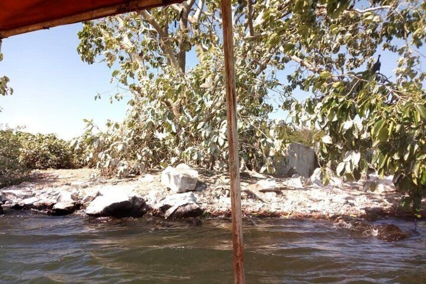Sighting the Nile bird island, made white from bird droppings