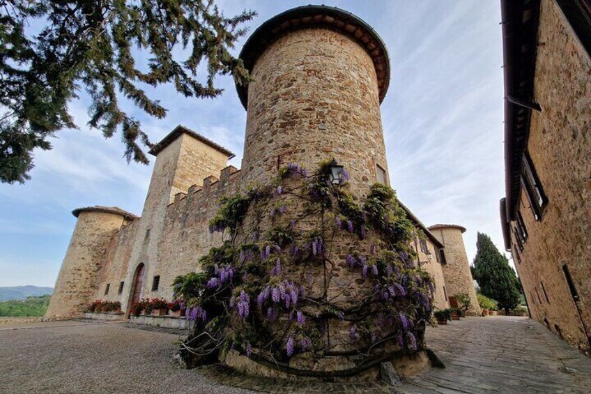 Chianti Wine Tours in six hours top 2 wineries & lots of photos 