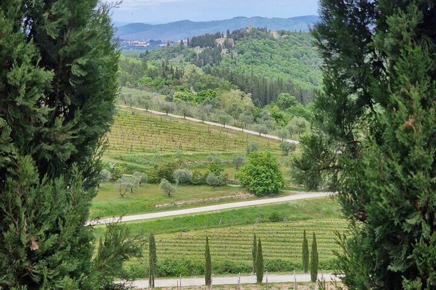 Chianti Wine Tours in six hours top 2 wineries & lots of photos 