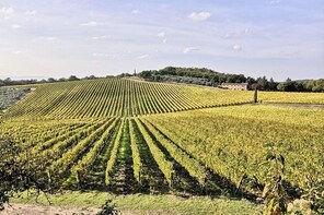 Private Wine Tours VIP TOURS