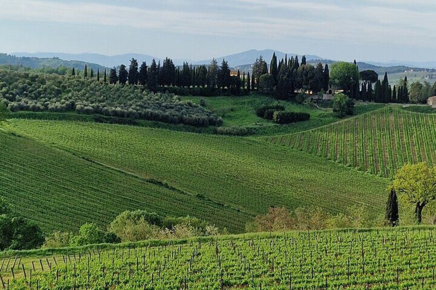 PRIVATE WINE TOURS VIP Wines and Wineries of Chianti Classico