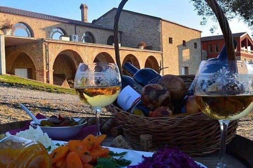 Wine tasting and Olive Oil in Tirana Surroundings