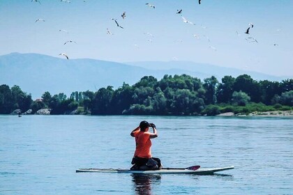 Stand Up Paddle tour from Tirana Albania to Skadar Lake & Buna River