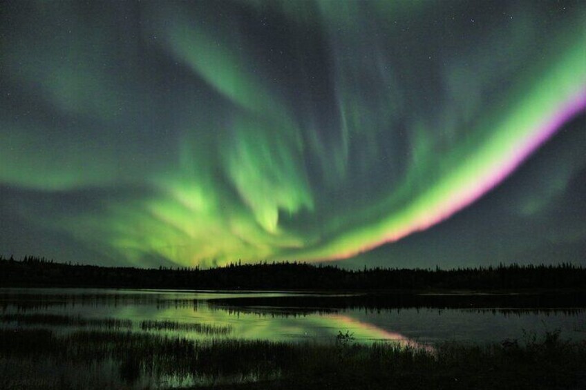Aurora Tour