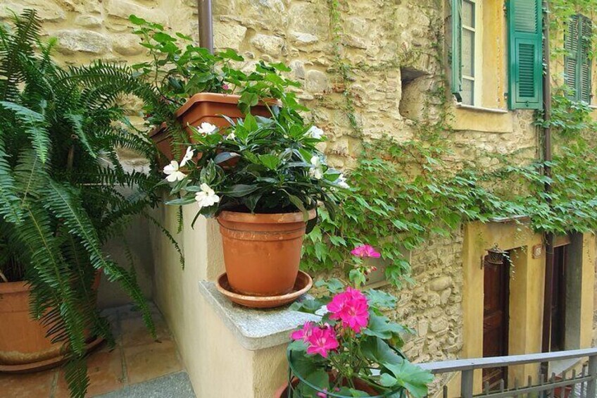 DOLCEACQUA & THE NERVIA VALLEY - The home of Rossese wine and Monet's beloved bridge