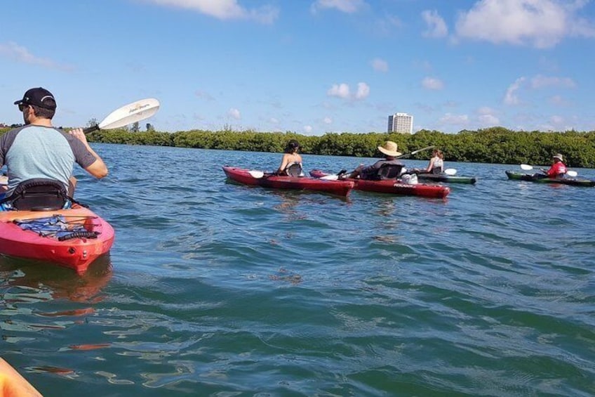 Guided Mangrove Tunnel Kayak Tour