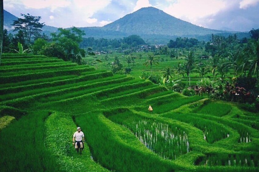 Bali World Heritage Sites and Wanagiri Hills