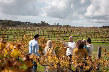 7 horas de catas, 3 bodegas, granja, avistamiento de canguros y almuerzo