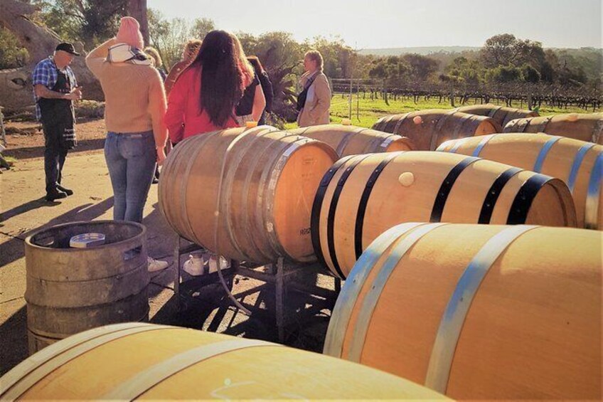 5 Hours Wineries, Tastings, Forest & Lunch at the Berry Farm