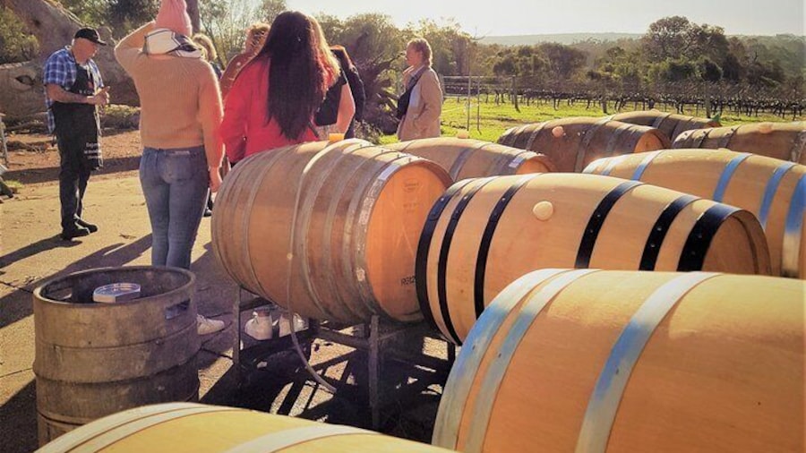 Meet the owners and winemakers