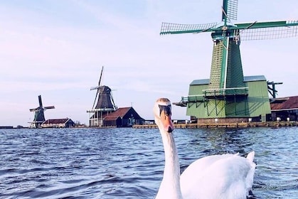 Platteland van Amsterdam, windmolens en vissersdorpen - privédagtour