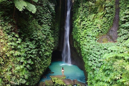 Bali Secret Waterfall Tour (Private & All-Inclusive )