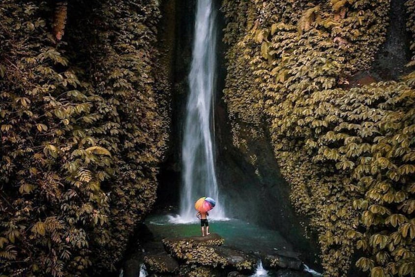 Bali Secret Waterfall Tour (Private & All-Inclusive )