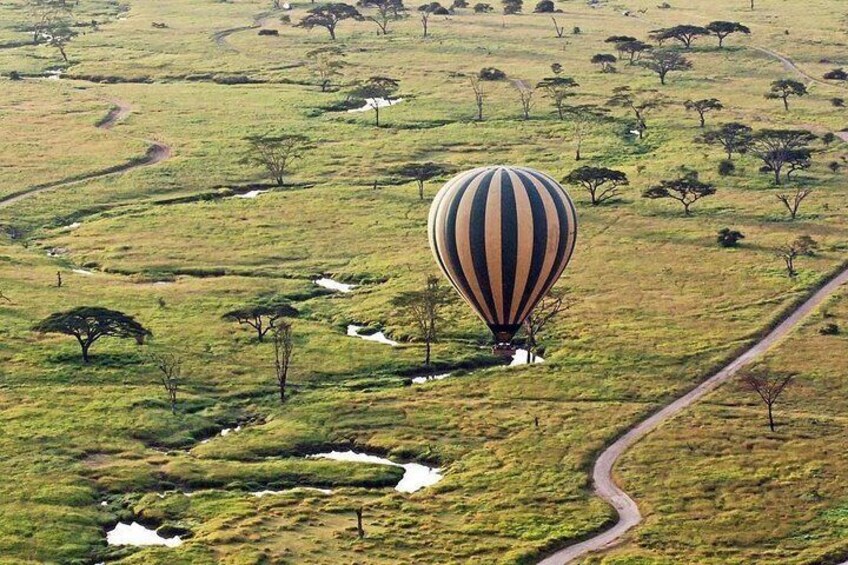 Serengeti Balloon Safari