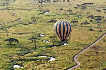  Masai Mara, Serengeti & Ngorongoro, Let Your Luxurious Migration Safaris B...