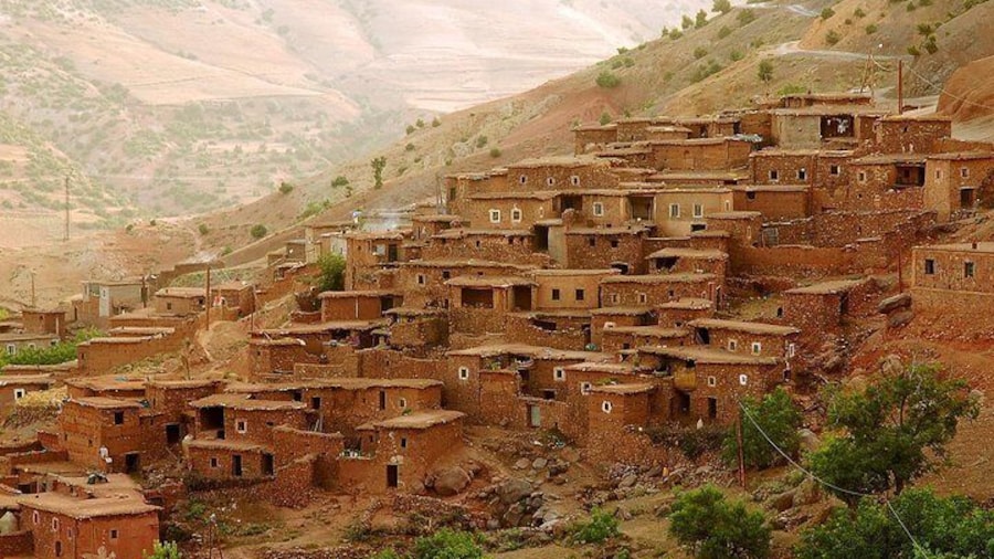 What to do in Marrakech - Activity