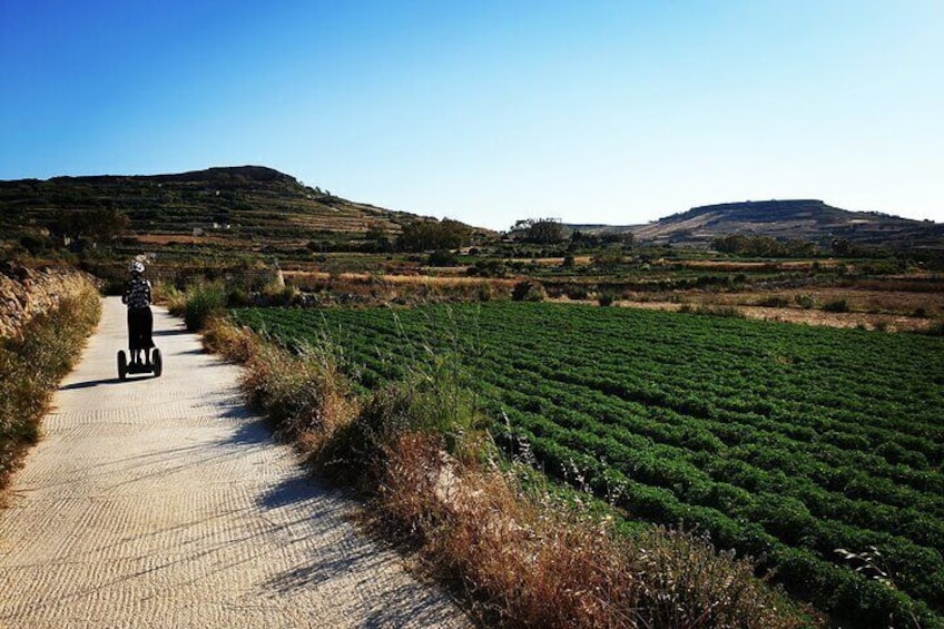 Mgarr Harbor Gozo Segway Tour