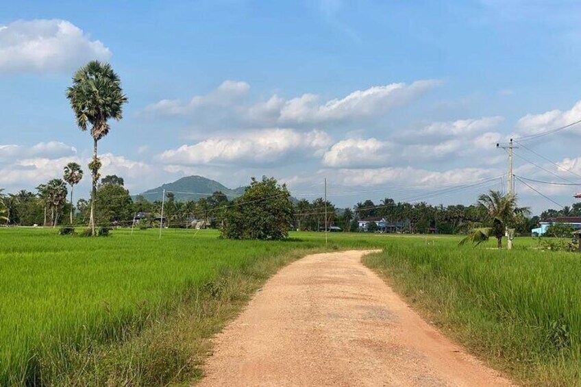 Full Day Pepper Farm Adventure by Scooter