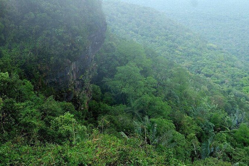 Show item 3 of 5. Discover Bokor National Park