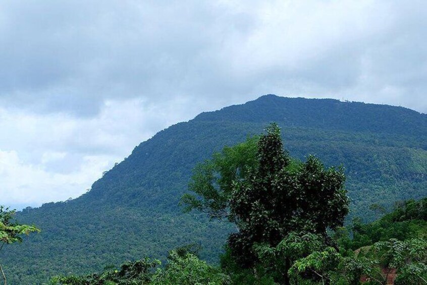 Show item 2 of 5. Discover Bokor National Park