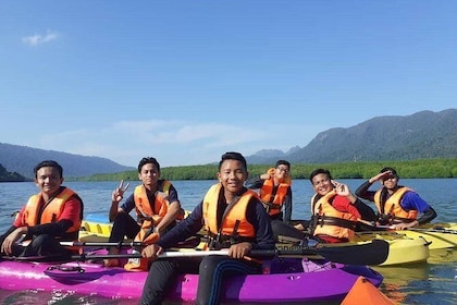 Mangrove Kayaking Tour from Langkawi