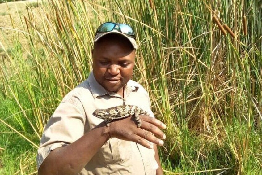 Maputo Special Reserve every Saturday (Open Vehicle)