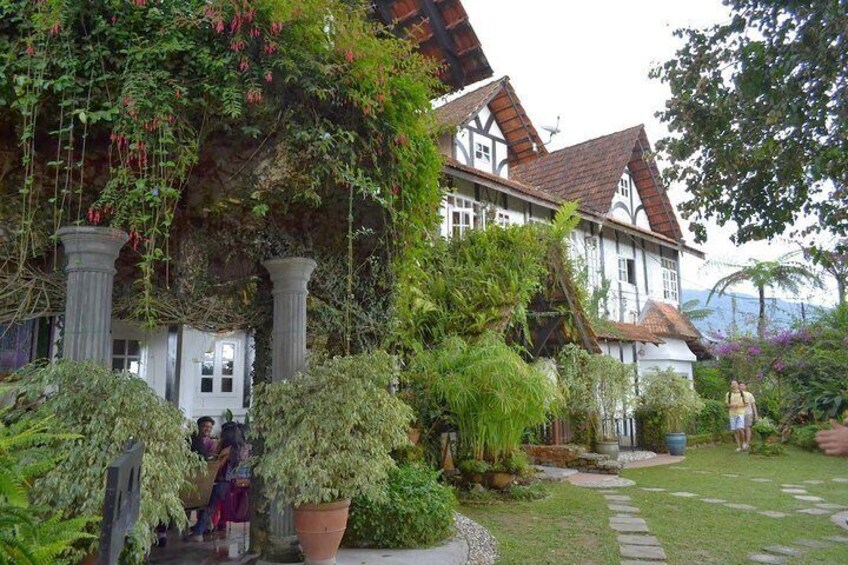 Cameron Highlands: Mossy Forest Discovery