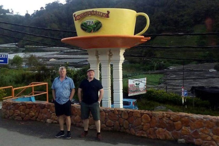 Cameron Highlands: Mossy Forest Tour