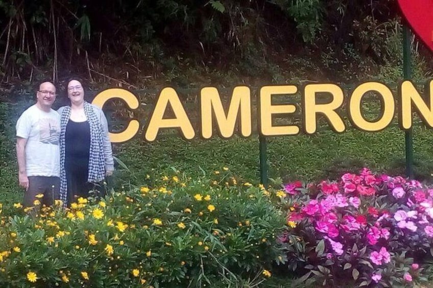 Cameron Highlands Sunrise Discovery and Morning Tea Tour