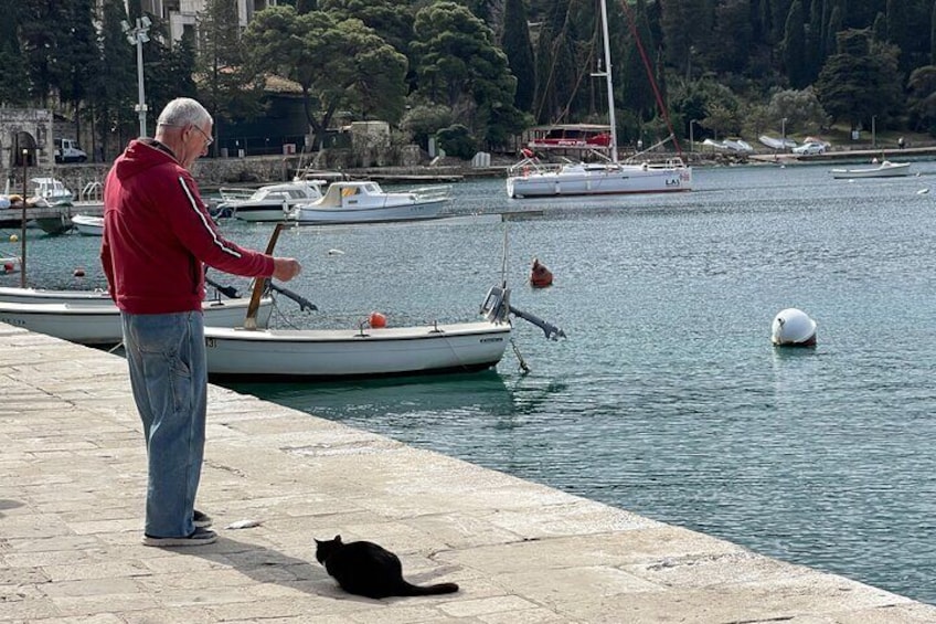 Panorama Dubrovnik & Cavtat Tour by CRUISER TAXI