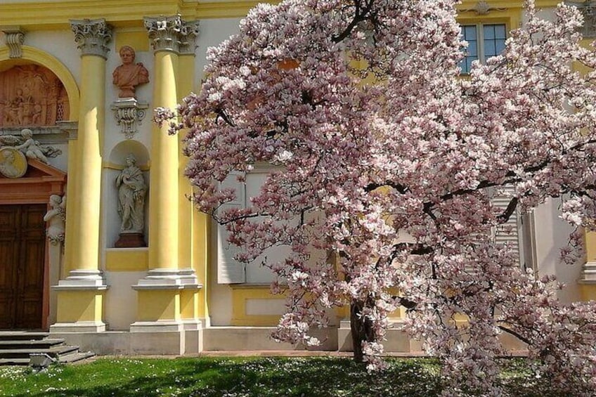 Walking Audio Tour of Wilanów Palace Grounds by VoiceMap