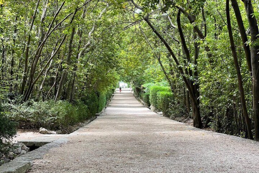 Dubrovnik Panorama & Arboretum Trsteno Tour by CRUISER TAXI