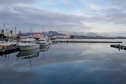 Principales lugares de interés y lugares escondidos de Reykjavik: una camin...